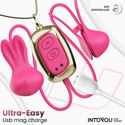 Série INTOYOU APP : Pinces à tétons vibrantes et chatouilleuses avec contrôle par application et collier
