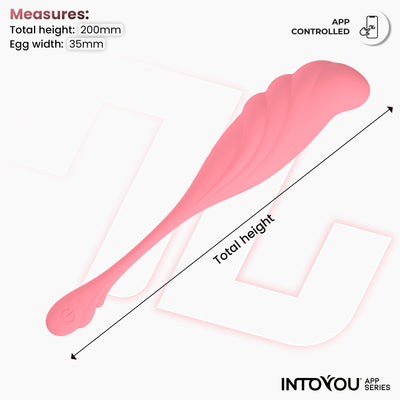 Œuf vibrant INTOYOU APP SERIES avec mouvement ondulatoire et application USB
