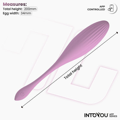 Œuf vibrant INTOYOU APP SERIES avec billes internes, rotation et application USB