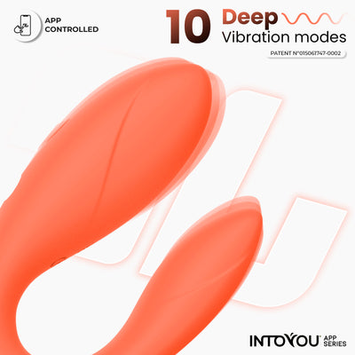 INTOYOU APP SERIES Couple Toy avec application saumon flexible