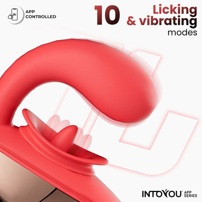INTOYOU APP SERIES Stimulateur de langue vibrant Rondy avec application