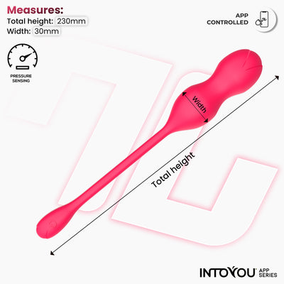 Série d'applications INTOYOU Kyra : appareil d'entraînement du plancher pelvien avec capteur de pression et application.