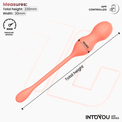 Série d'applications INTOYOU Kyra : appareil d'entraînement du plancher pelvien avec capteur de pression et application.