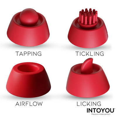 Stimulateur INTOYOU Beeny avec 4 têtes, succion, tapotement, chatouillement et léchage